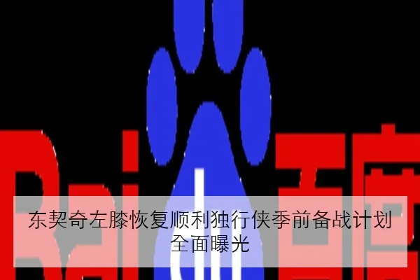 东契奇左膝恢复顺利独行侠季前备战计划全面曝光