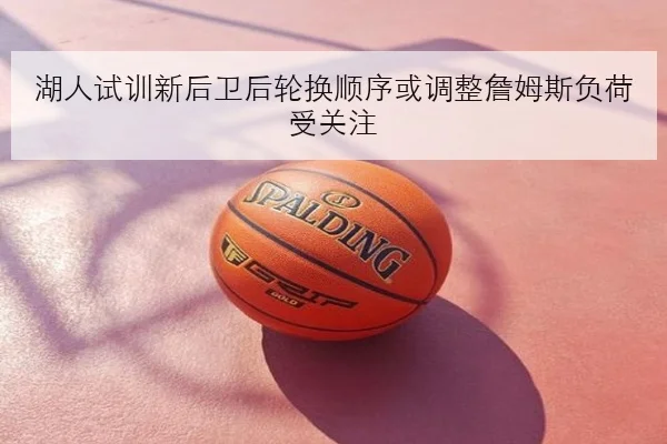 湖人试训新后卫后轮换顺序或调整詹姆斯负荷受关注